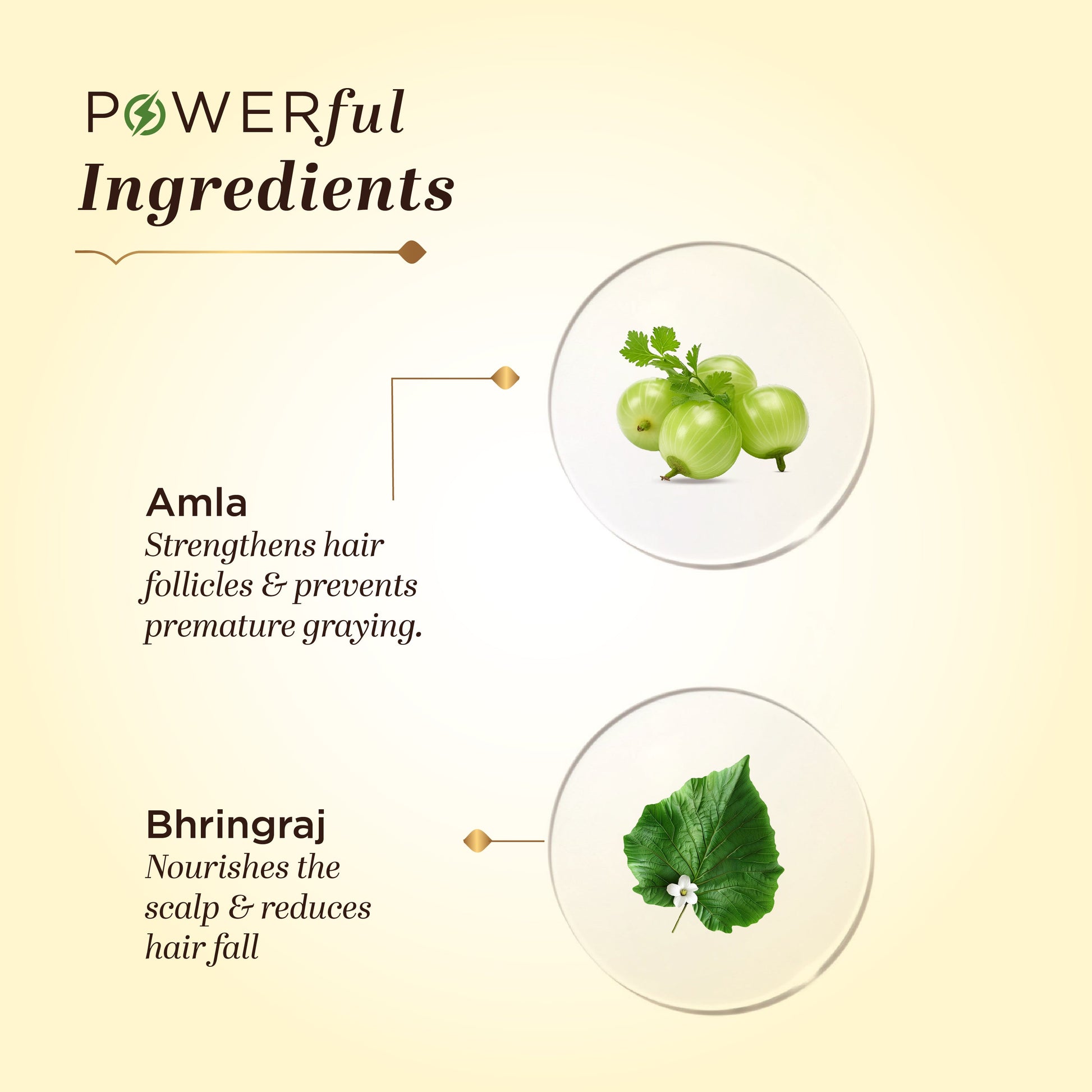 Amla & Bhringraj Hair Cleanser SLS & Paraben Free Amla & Bhringraj Hair Conditioner Combo Pack of 2 1
