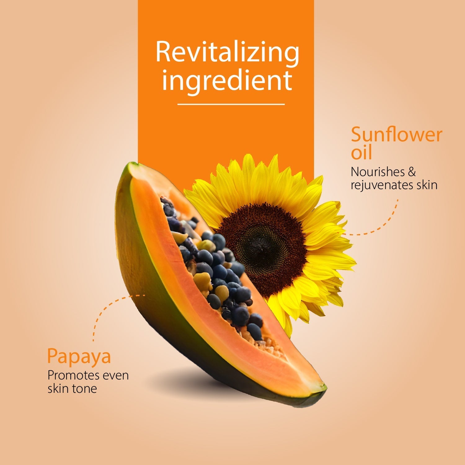 Papaya Vera Face Cream | Nourishing Moisturizer for Blemish-Free, Even-Toned & Radiant Skin | With Papaya Enzymes & Sunflower Oil | Deep Hydration, Smooth Texture & Youthful Glow | 50 g 50g