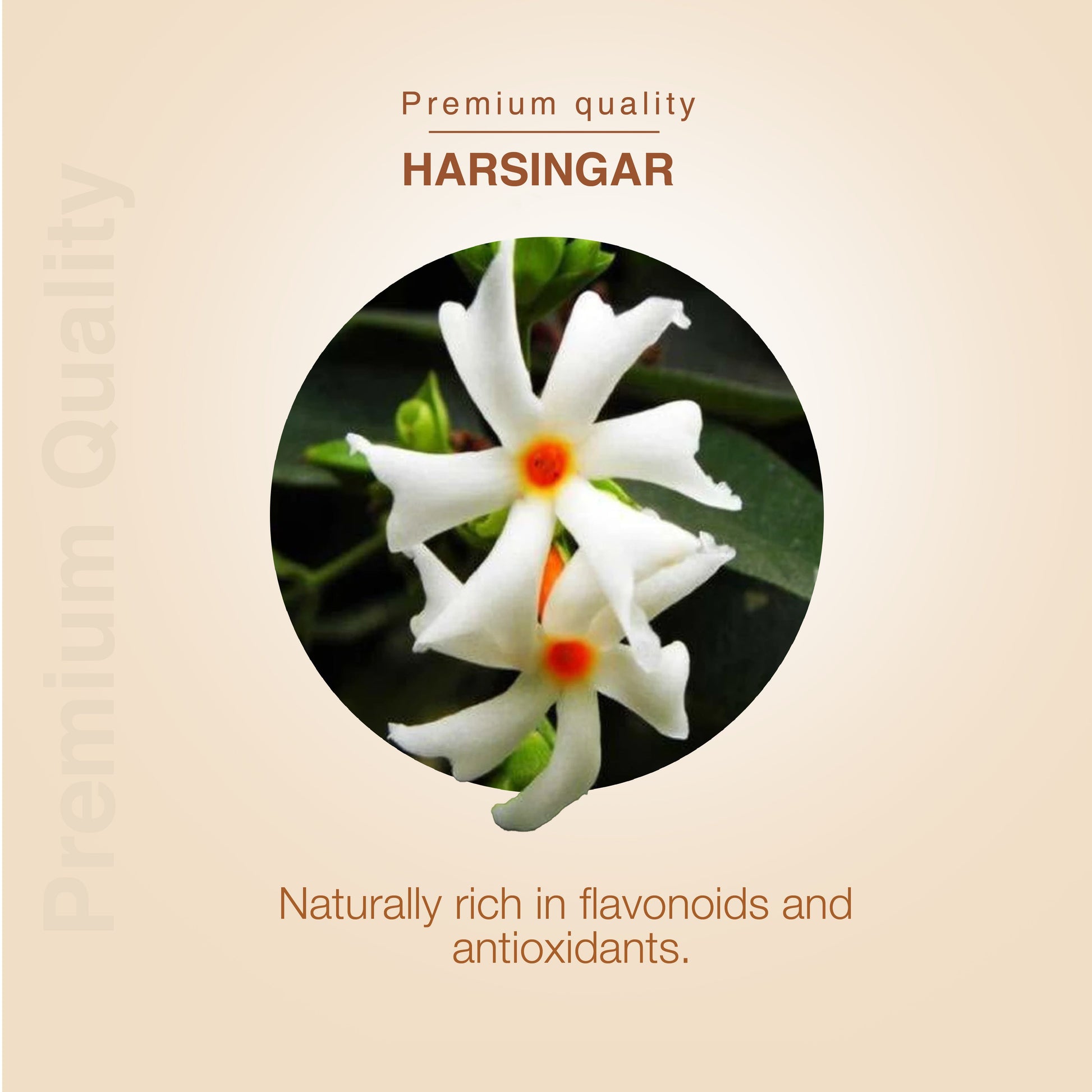 Harsingar Flower Tea (Phant) – Natural Herbal Brew for Pain Relief, Detox & Immunity – Net Qty: 200g 200g