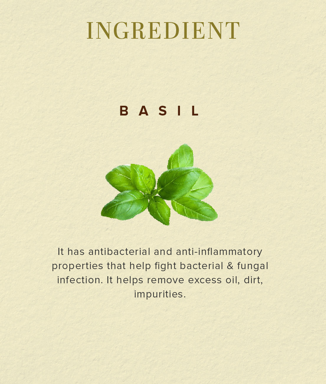 Herbal Basil Scrub Soap 125gm 125g