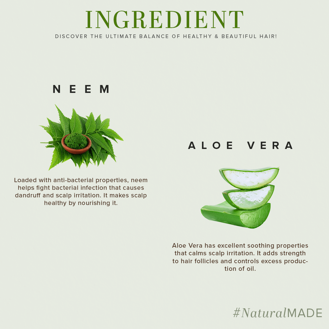 Aloe Intense Cleanse  Pack of 2 Hair Care Combo of Cleanser & Conditioner 210ml Each