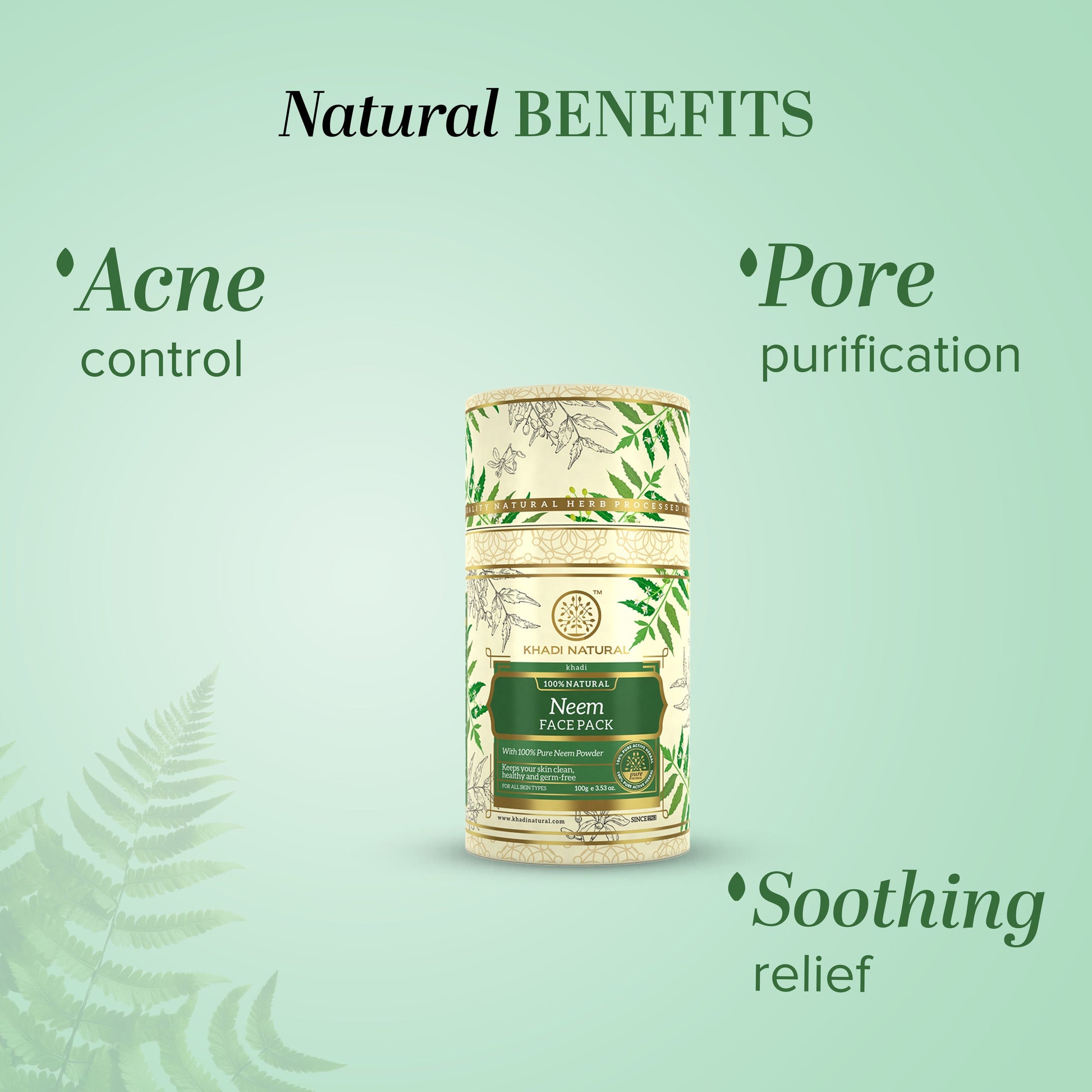 Neem Face Pack 100gm