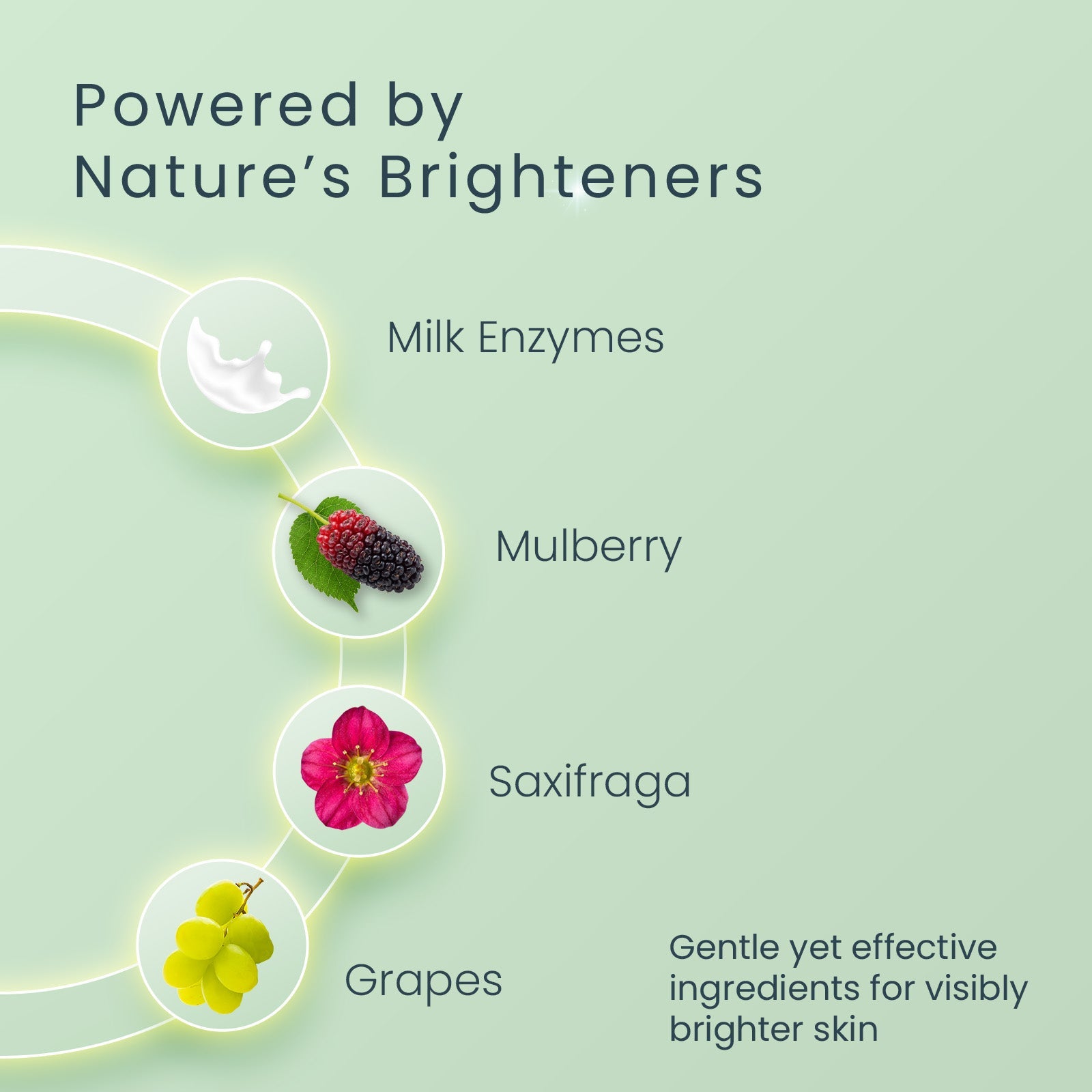 WhiteGlow Skin Brightening Serum+ Moisturiser 30ml