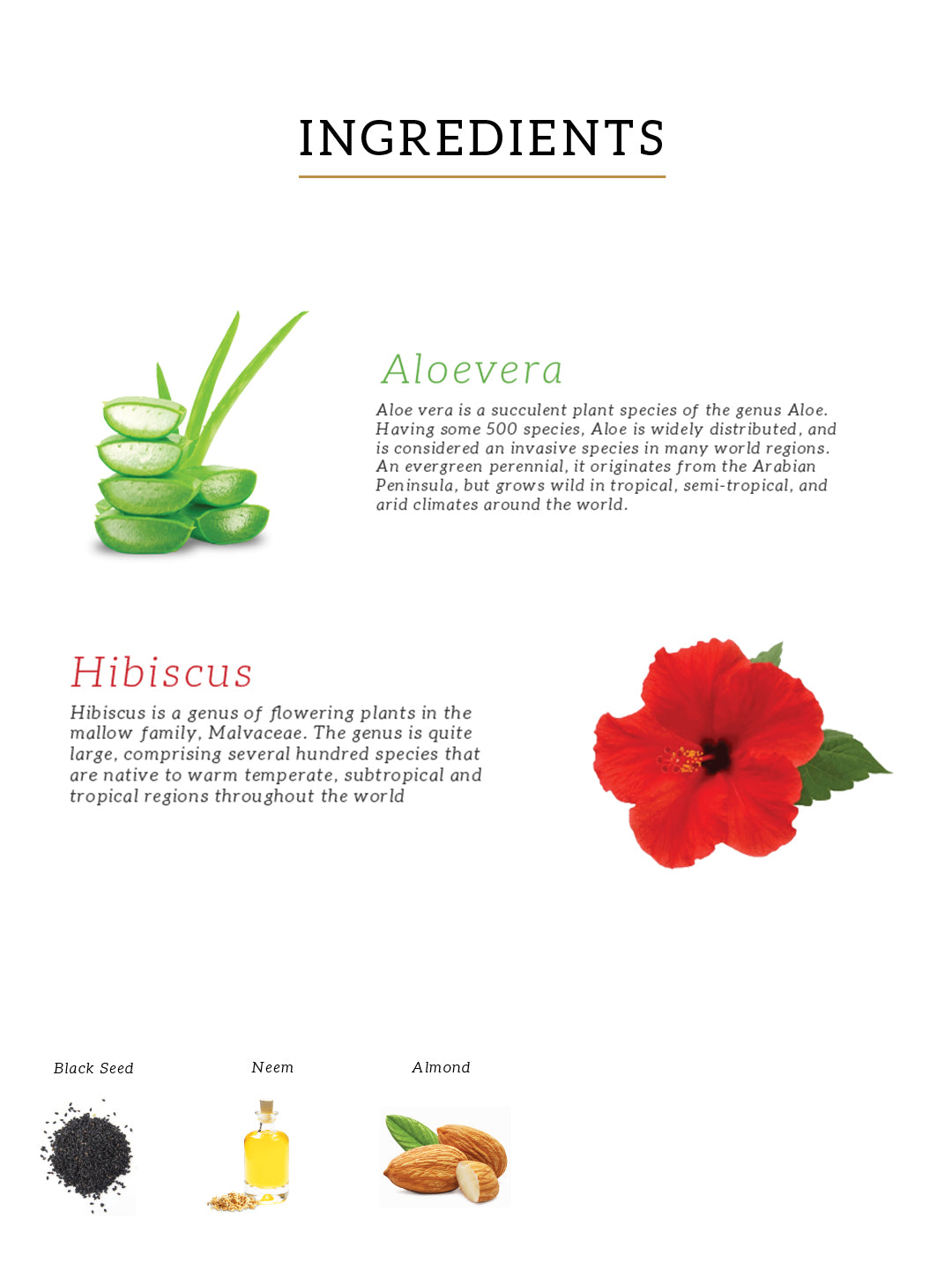 Hibiscus & Aloe Vera Hair Oil - Mineral Oil, Silicones, Synthetic Fragrance Free 200ml