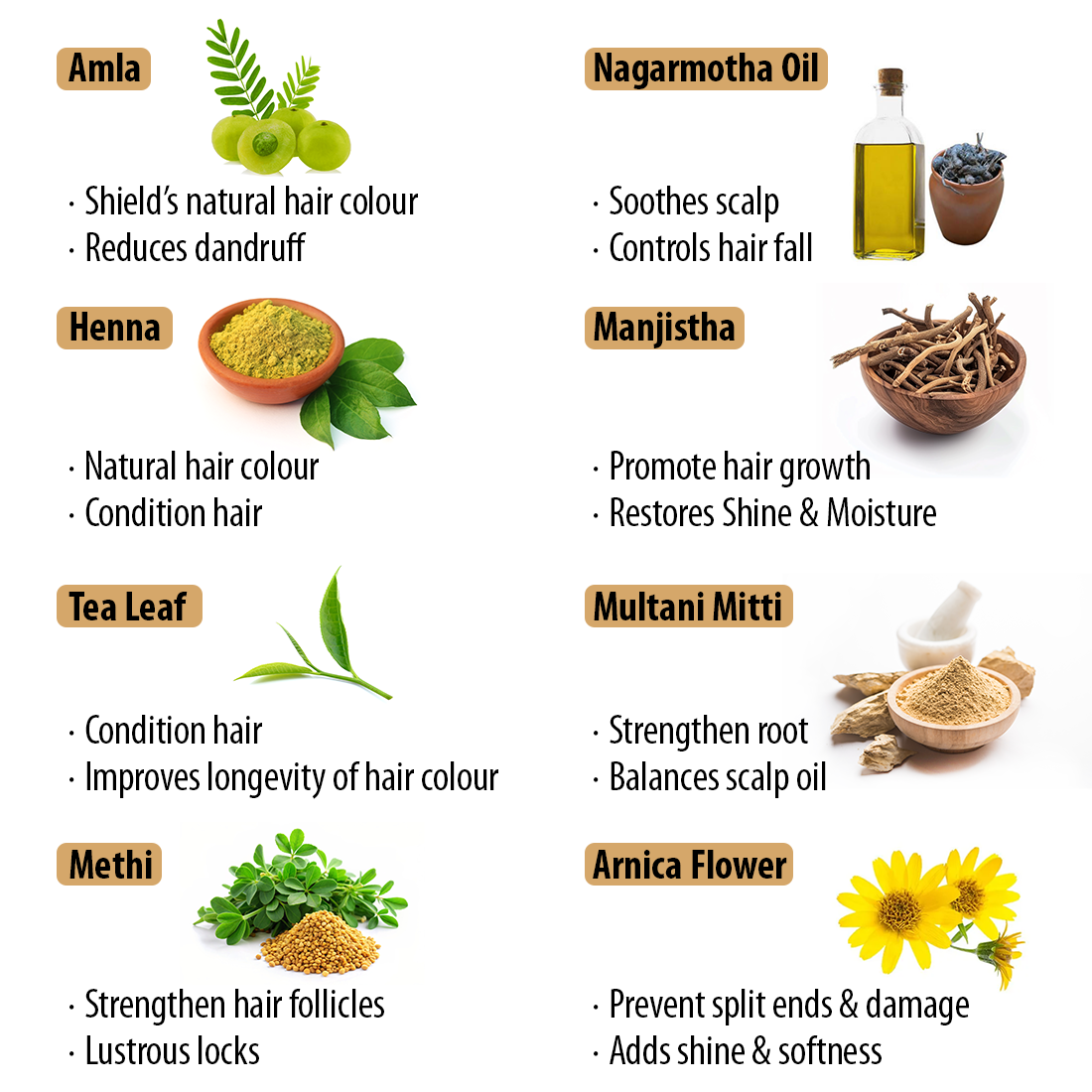 Black Shine Hair Pack Natural Hair Colour, Dye with Ayurvedic Herbs, Men & Women 100g