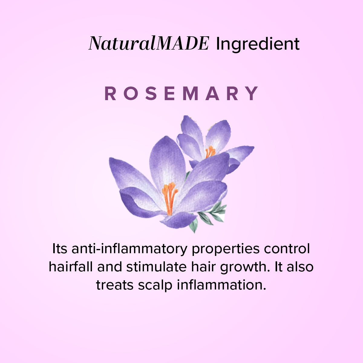 Herbal Rosemary Essential Oil 15ml
