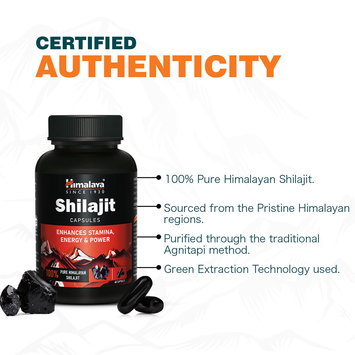 Shilajit Capsules 60's
