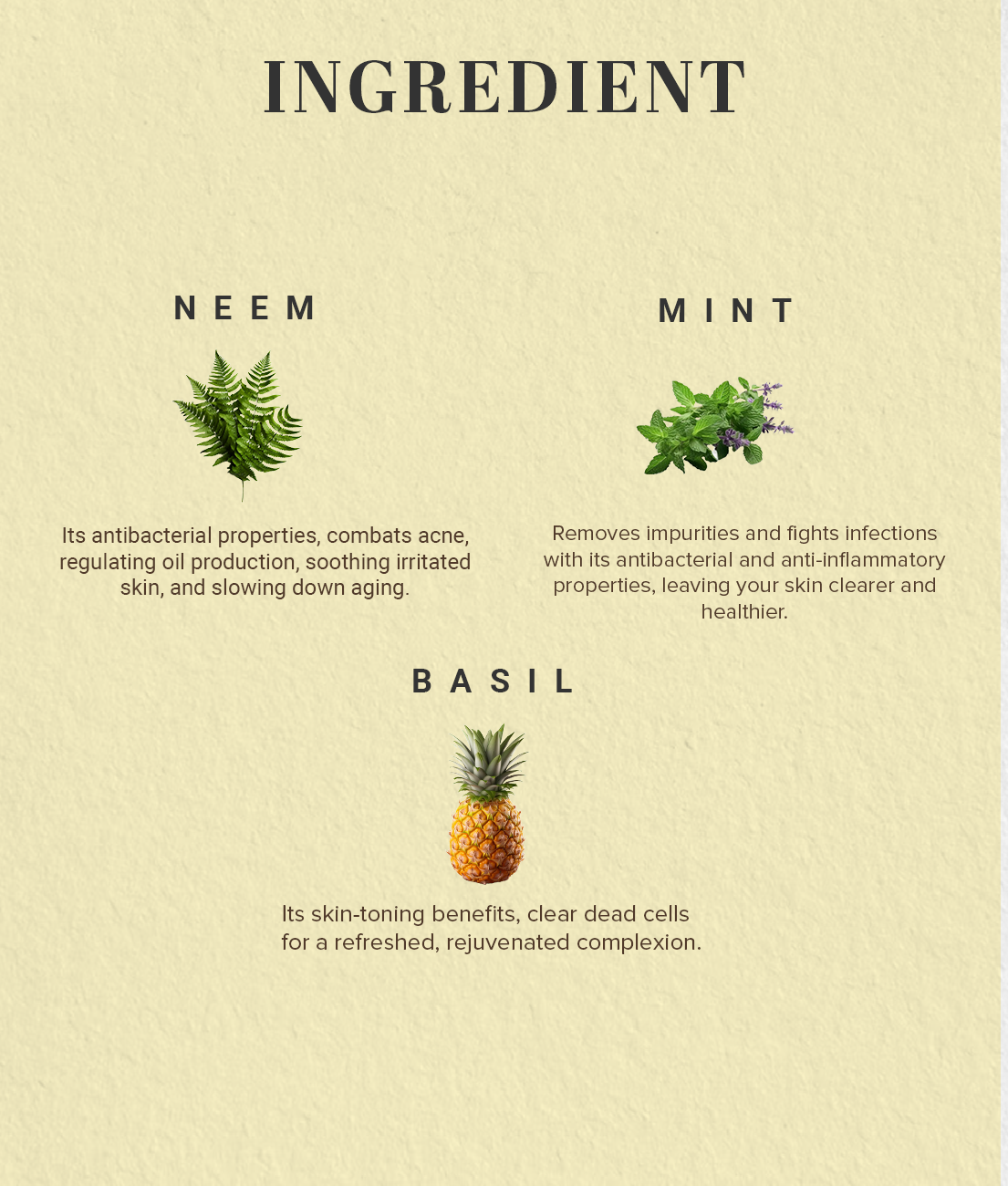 Neem Basil & Mint Anti Acne Face Pack 50gm