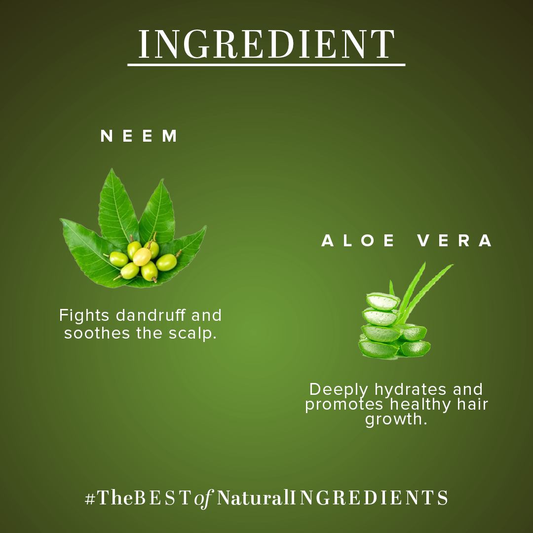 Neem & Aloe Vera Hair Conditioner - Paraben, Silicones, Sulphate, Color, Salt & Artificial Fragrance Free 310ml