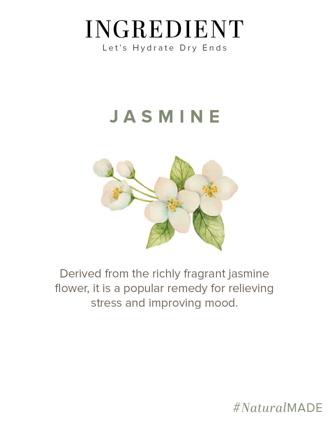 Jasmine - Pure Essential Oil 15ml