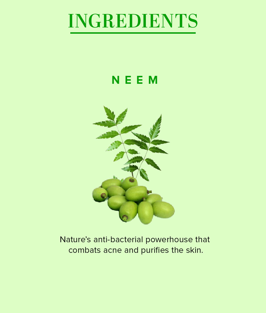 Neem Face Wash SLS & Paraben Free 100gm