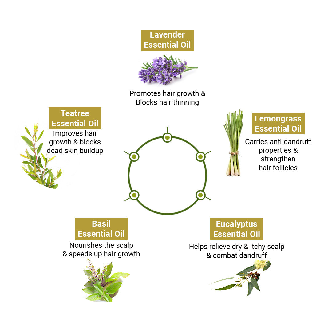 Alopex Penta Hair Growth Serum Treatment Kit – Shampoo & Solution with Korean Red Ginseng, Rosemary & Pentavitin for Hair Fall Control & Scalp Nourishment 320ml