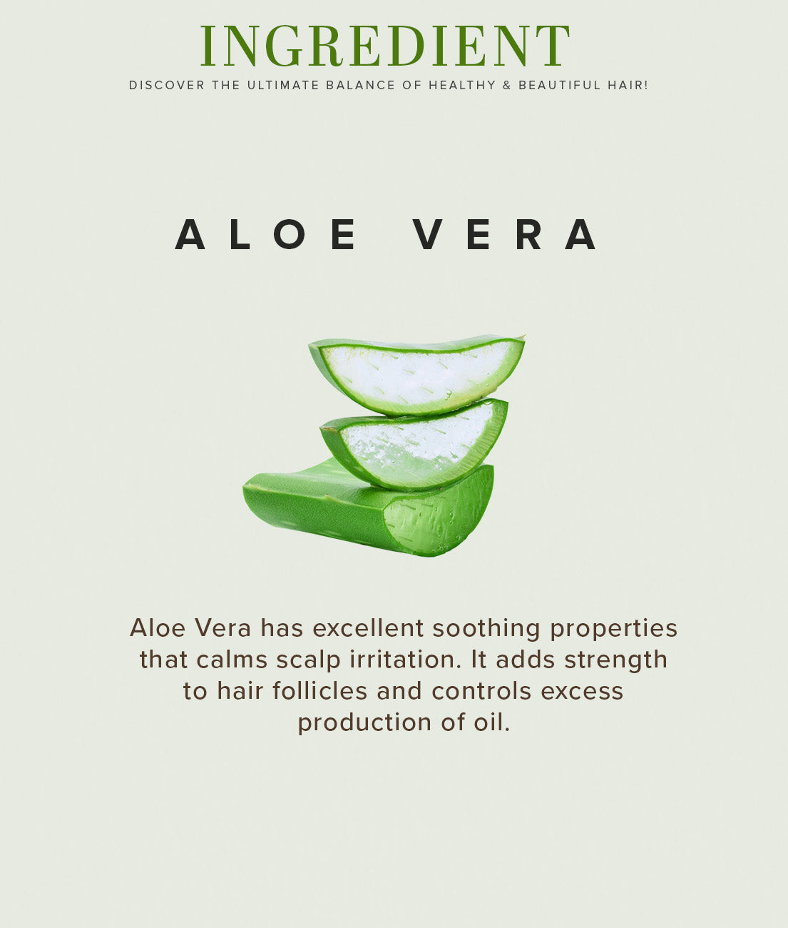 Aloe Vera Hair Conditioner 210ml