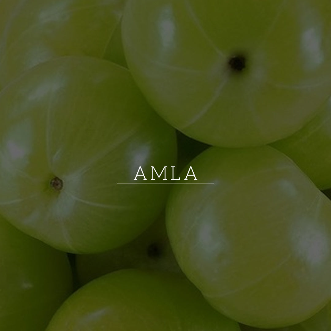 Amla & Bhringraj Hair Cleanser - SLS, Parabens, Color, Salt & Artificial Fragrance Free 310ml