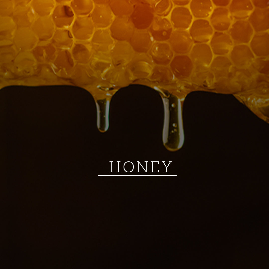 Shikakai & Honey Shampoo - Powered Botanics 310ml