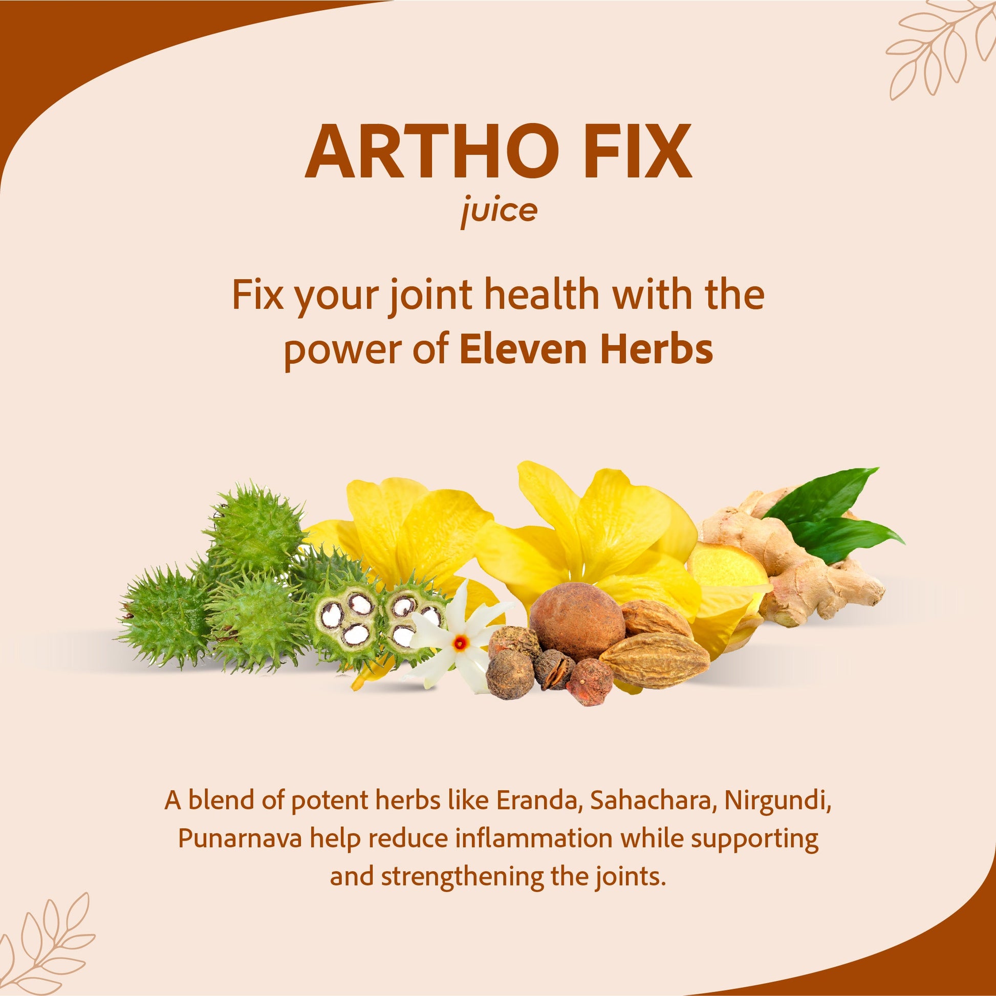 Artho Fix Juice | Supports Joint Health & Improves Mobility | 1 L 1L