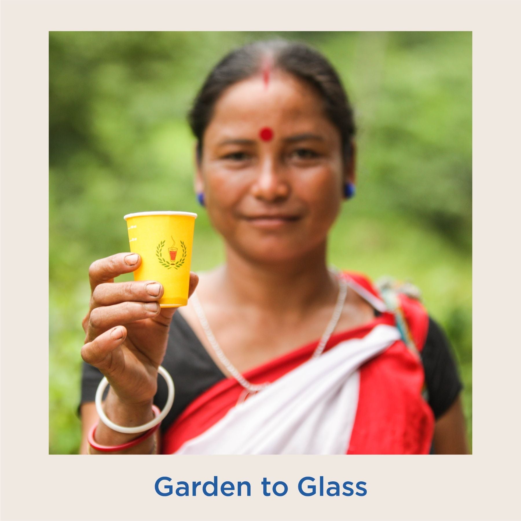 Assam Whole Leaf Green Tea – Pack of 2 (200g) 200g
