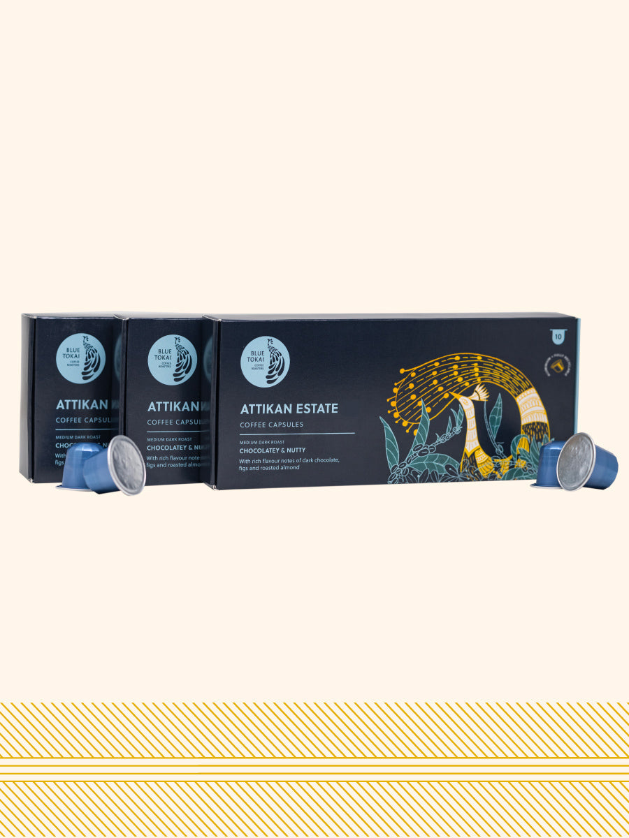 Attikan Estate - Coffee Capsules Pack of 40
