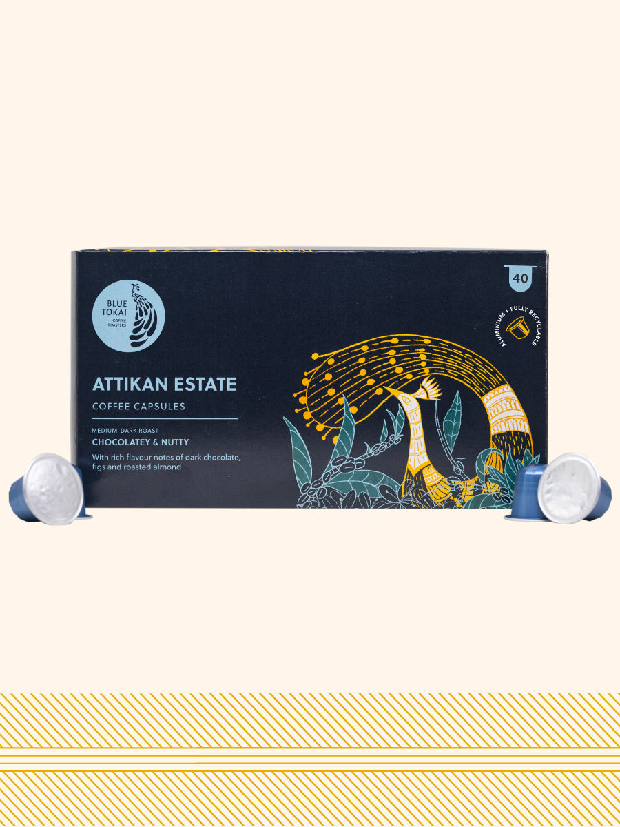 Attikan Estate - Coffee Capsules Pack of 30