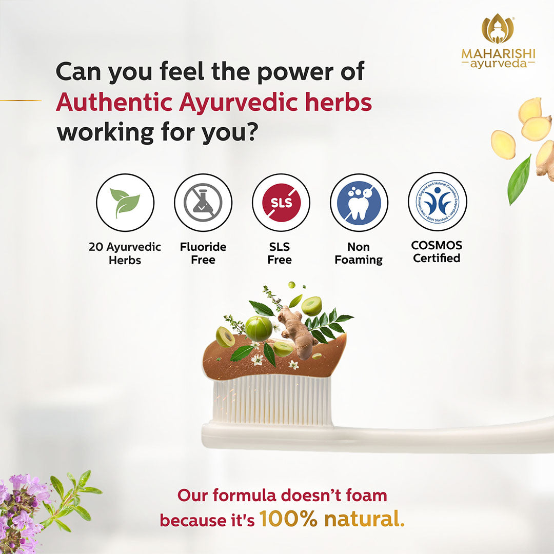Ayurdent Classic – Ayurvedic Toothpaste for Toothache, Cavities & Sensitive Teeth