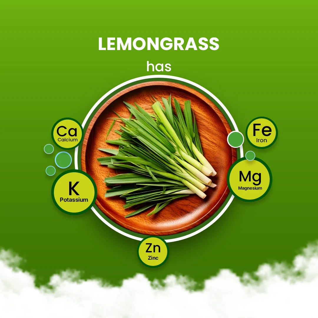 Lemongrass Tea - 200g 200G