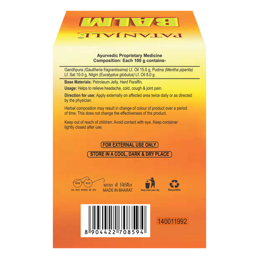 Patanjali Balm 10g