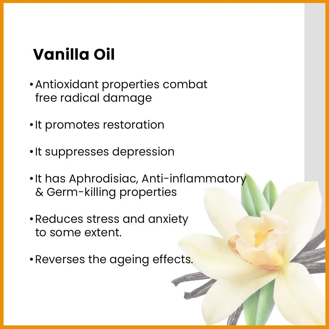 Spicy Vanilla After Bath Body Oil Light, Non-Sticky & Quick Absorbing, Stimulates Mind, Anti Inflammatory, Warming Action & Revitalize Skin 200g