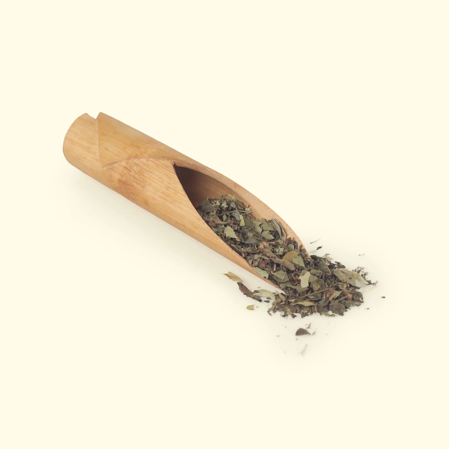Tea Essentials - One Tulsi Green Tea Of  Your Choice, An Infuser & Honey Tulsi green tea