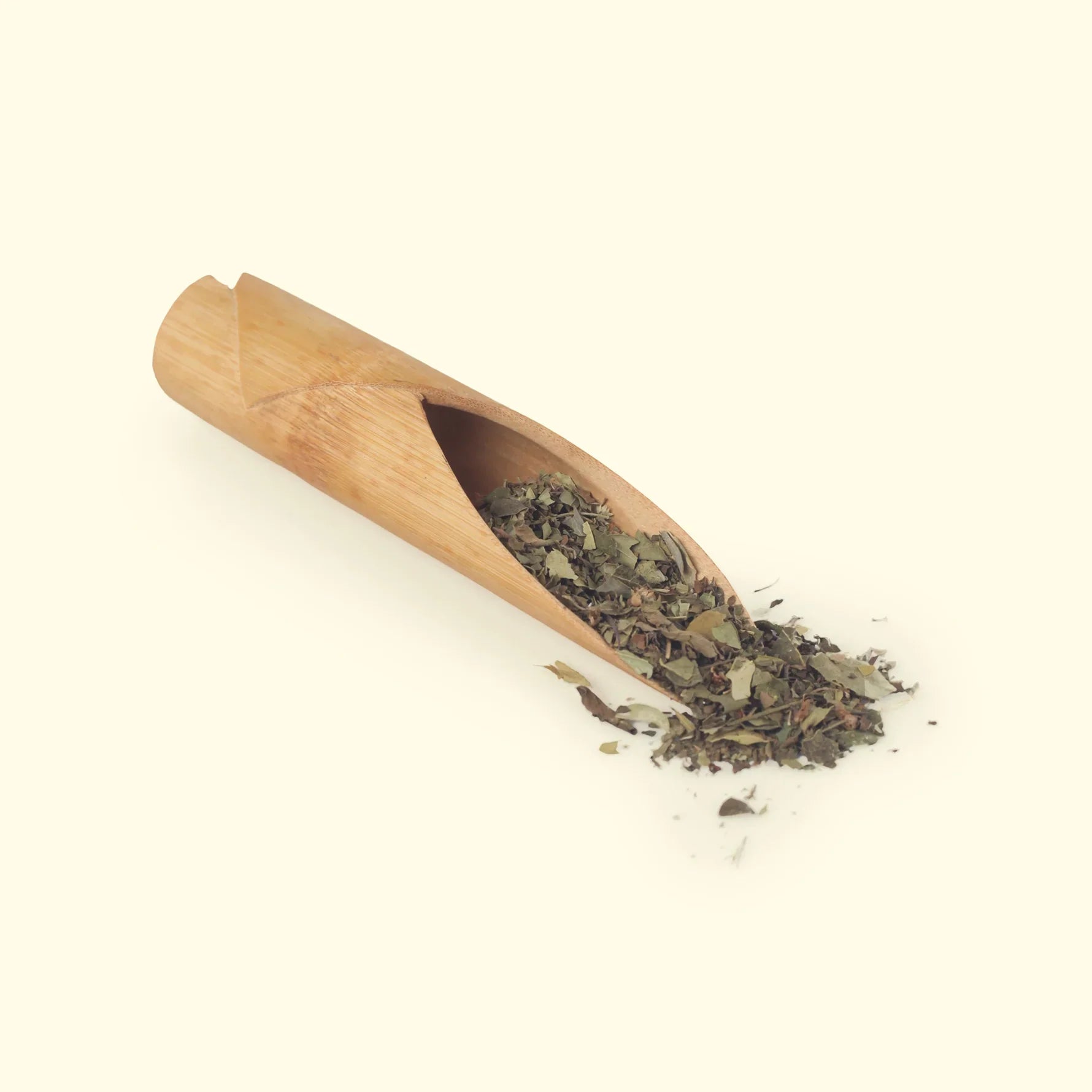 Tea Essentials - One Tulsi Green Tea Of  Your Choice, An Infuser & Honey Tulsi green tea