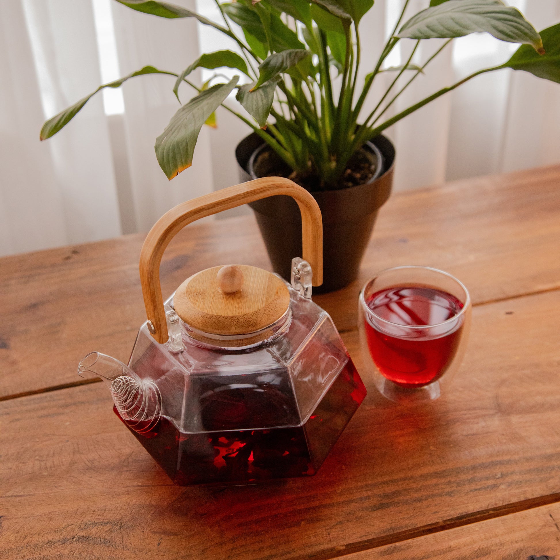 Octavius Facet Brew Borosilicate Glass Kettle – 1500 ml 1500ml