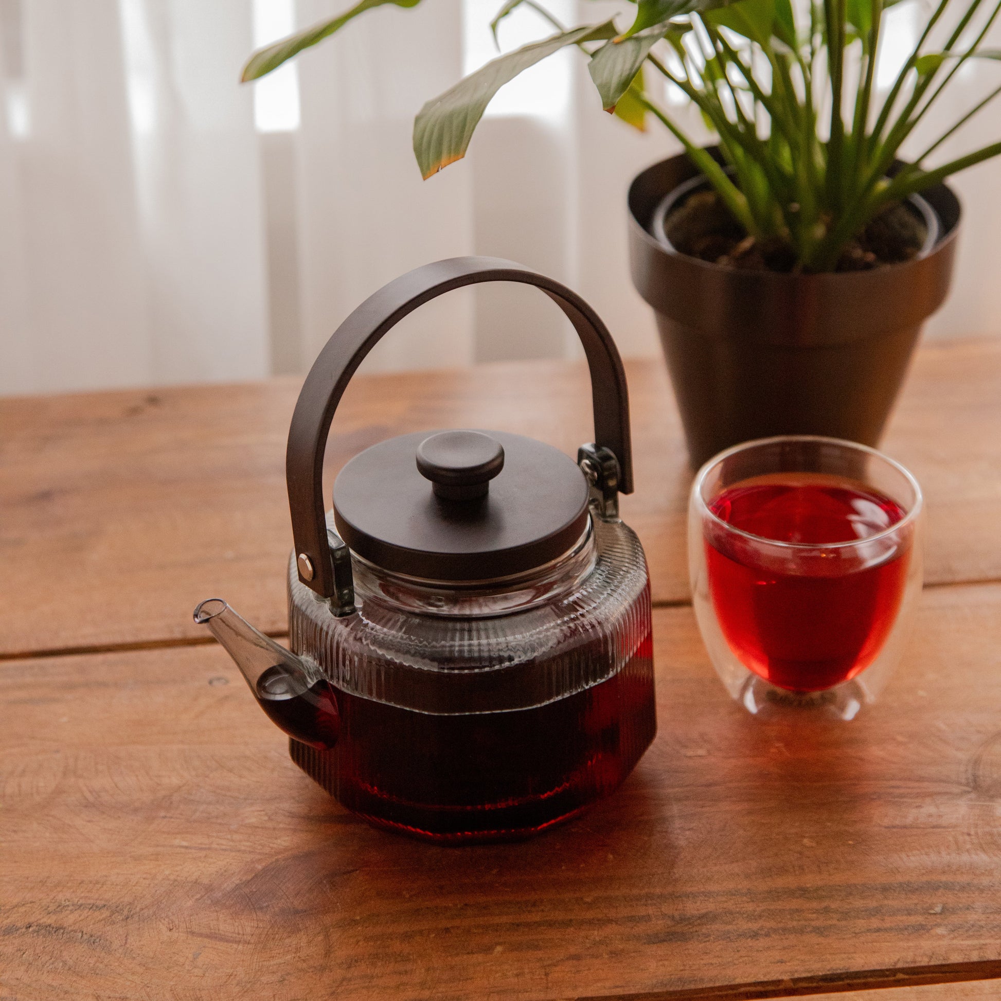 Octavius Prism Brew Borosilicate Glass Kettle – 600 ml 600ml