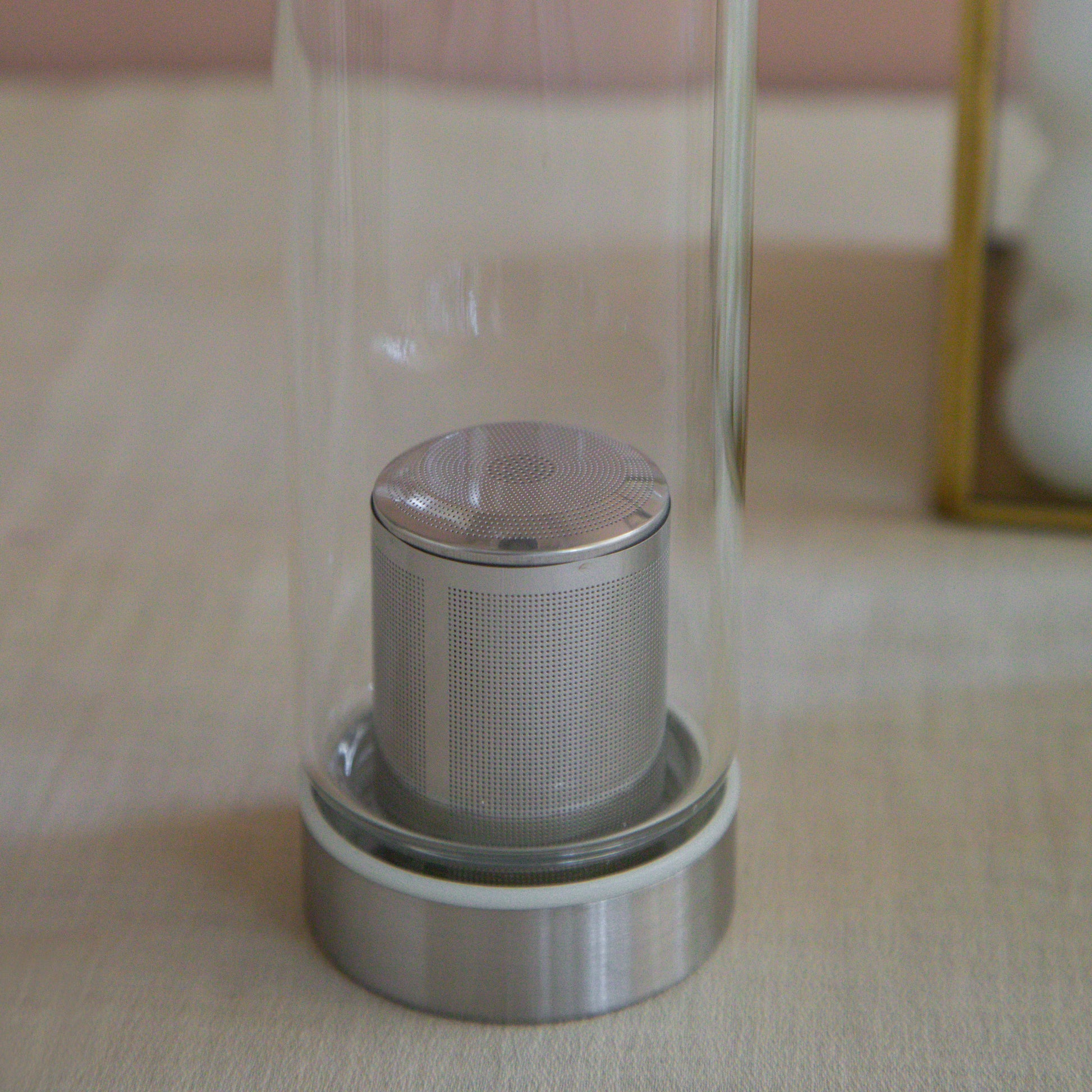 Borosilicate Glass Bottle With Infuser - 520ML 520ml