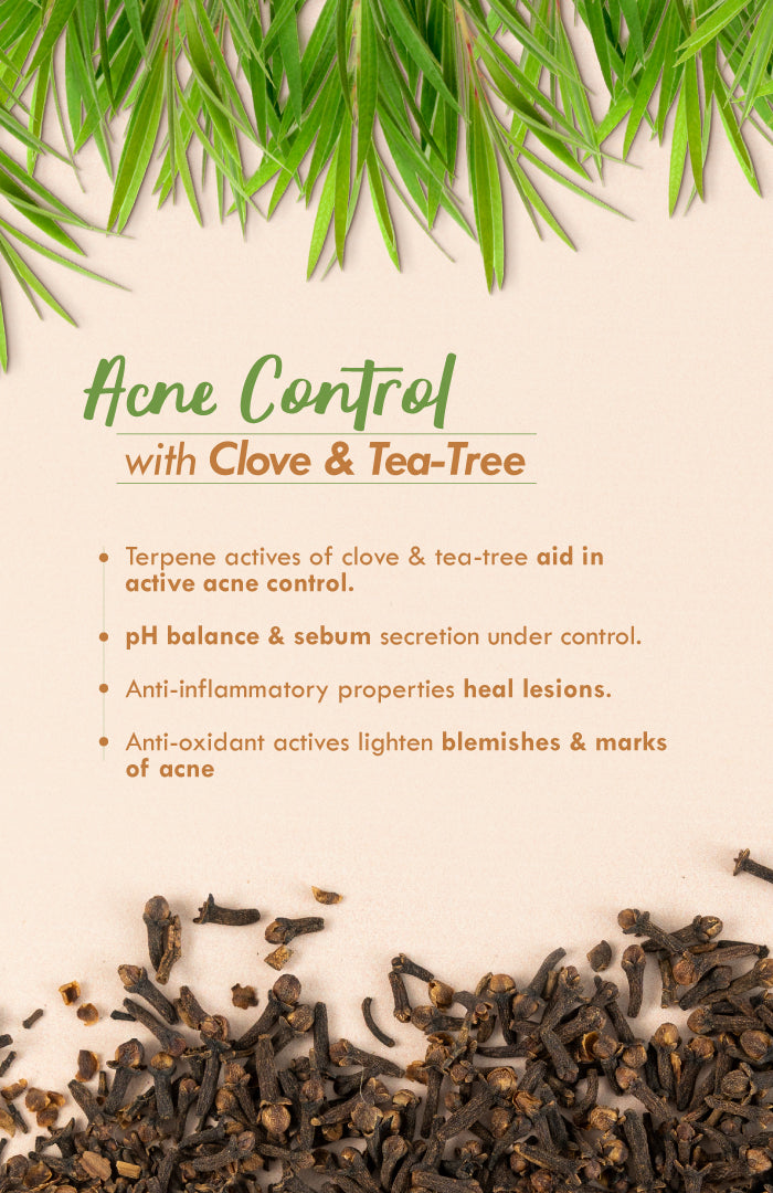 48HR Malai Moisturiser - Anti-Acne 30g
