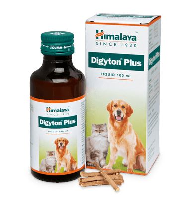 【Himalaya】 Digyton Plus｜ジジトンプルウス
