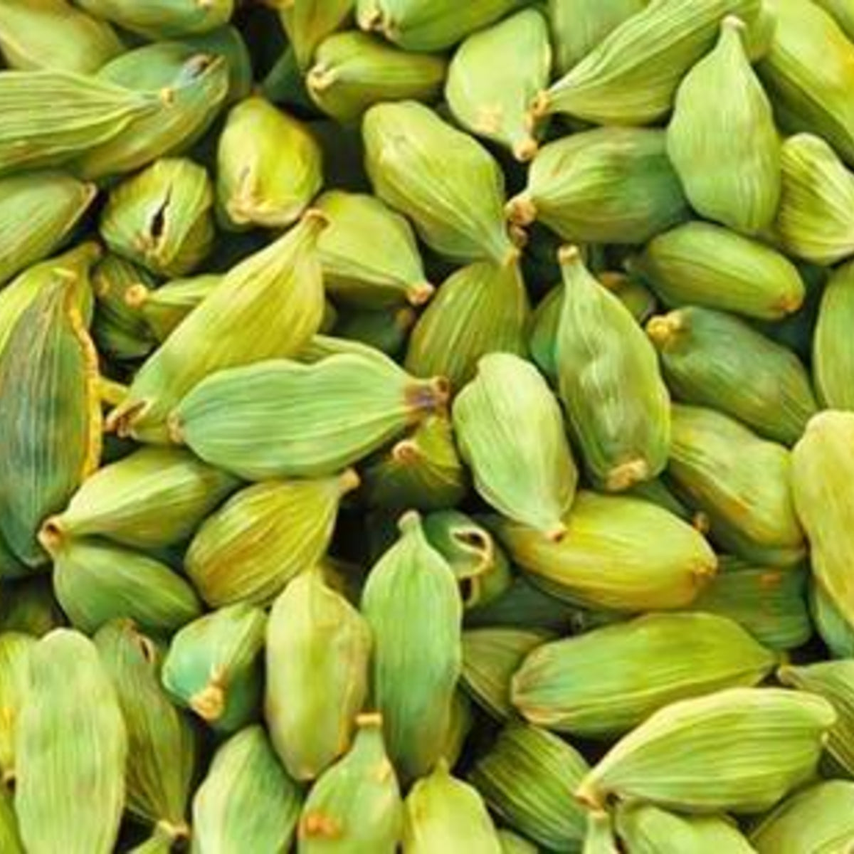Cardamom Extract Powder – 250g 250g