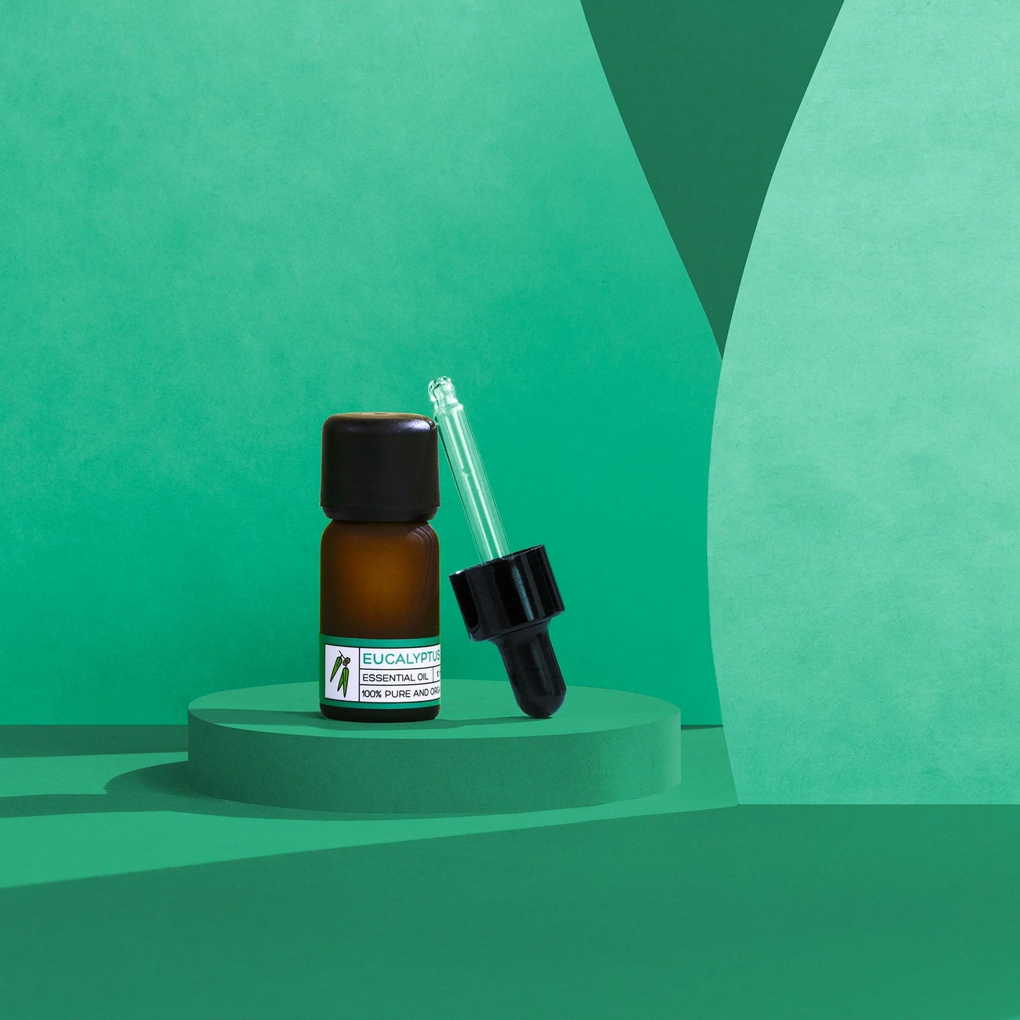 Eucalyptus Essential Oil (10ml)