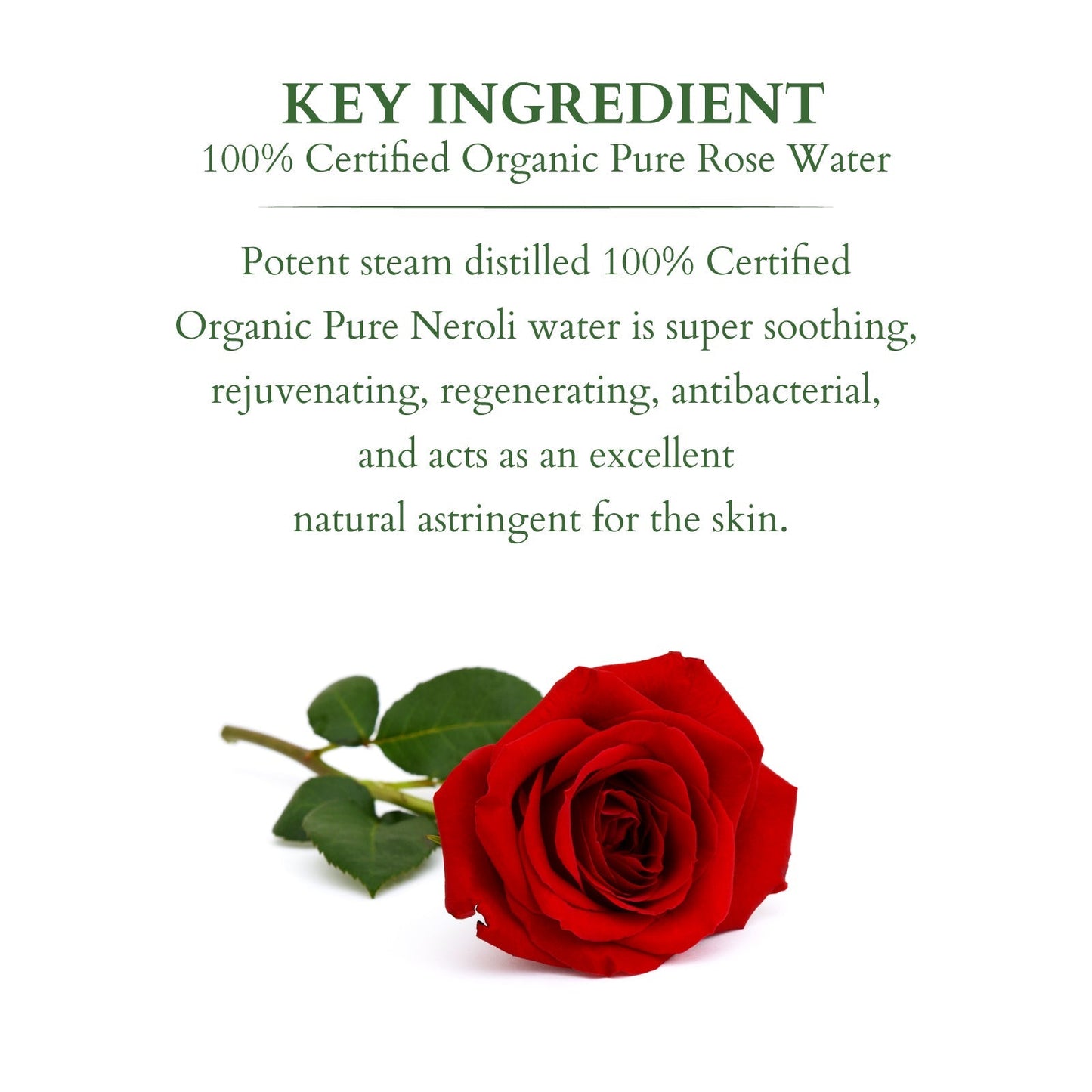 Organics+ 100% PURE ROSE FLORAL WATER 