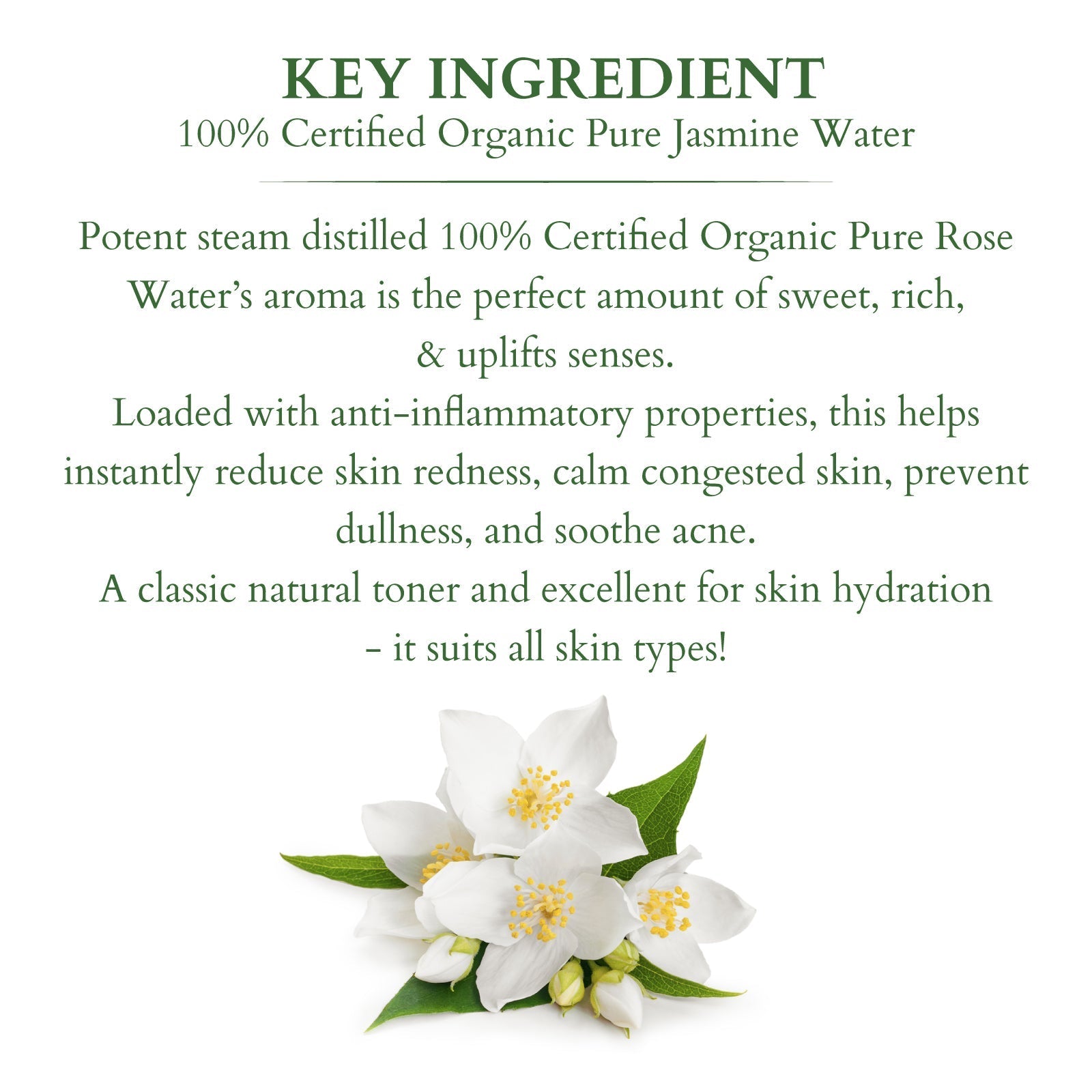 Organics+ 100% PURE JASMINE FLORAL WATER 