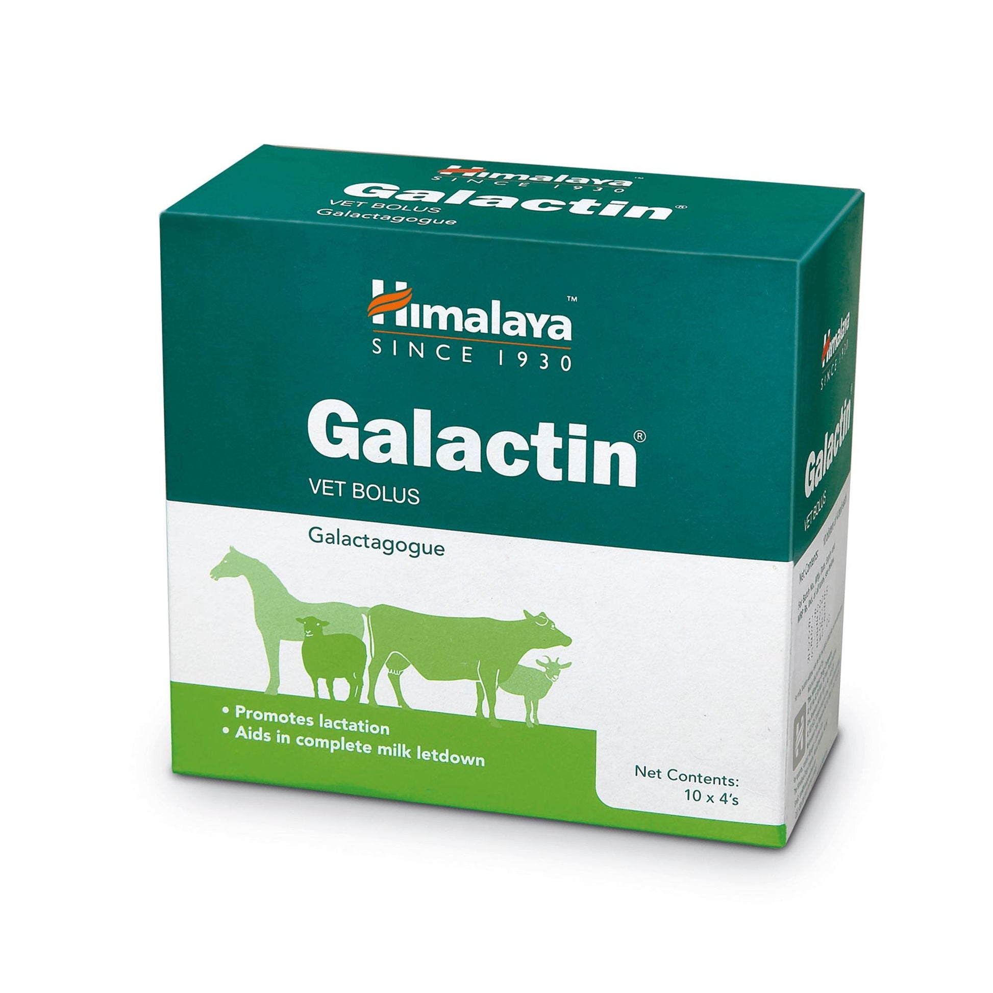 【Himalaya】 GALACTIN VET BOLUS｜ガルアクチンヴェトボルウス