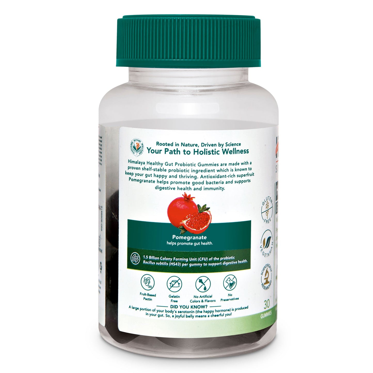 Healthy Gut Probiotic GUMMIES 30s