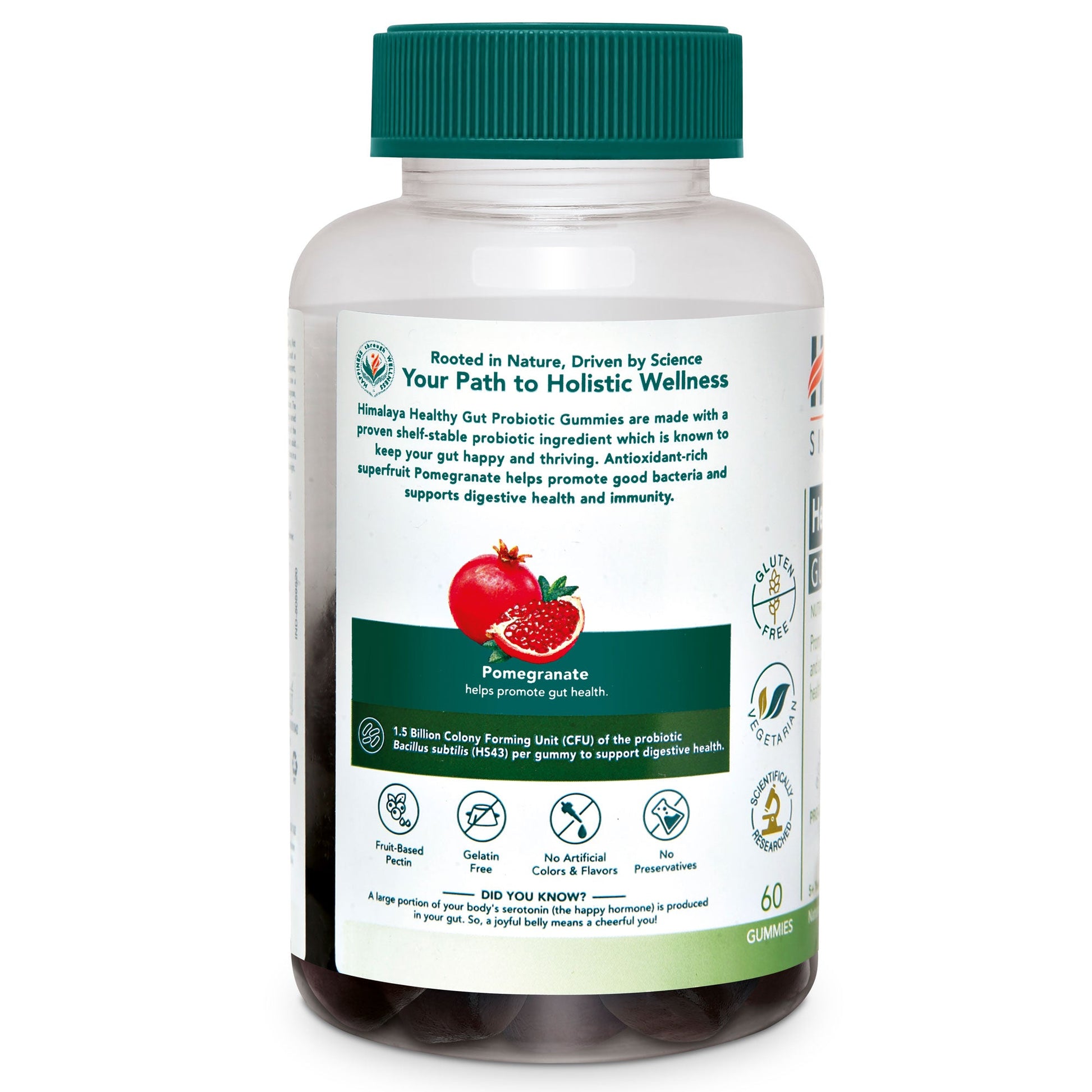 Healthy Gut Probiotic GUMMIES 60s