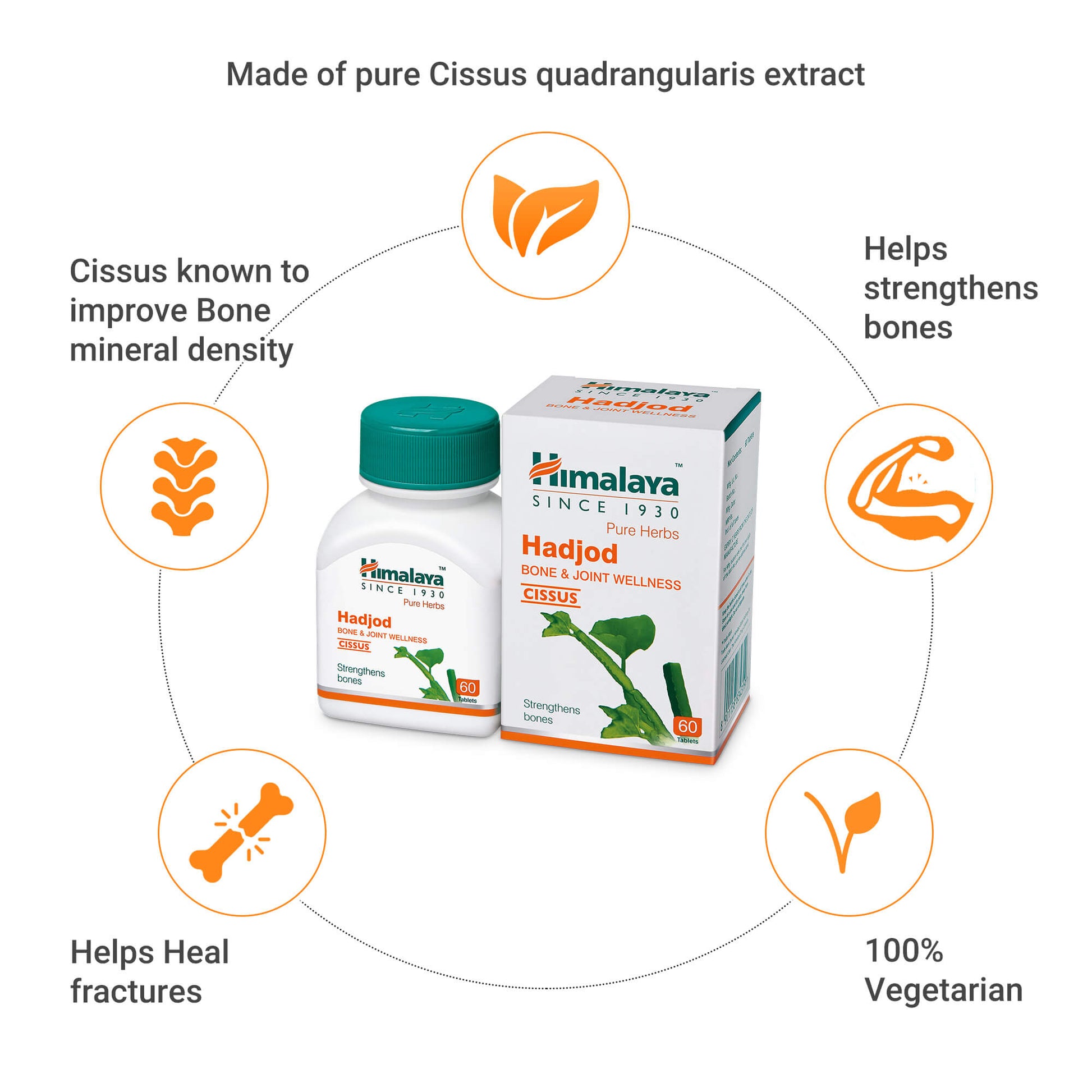 Hadjod 60 Tablets