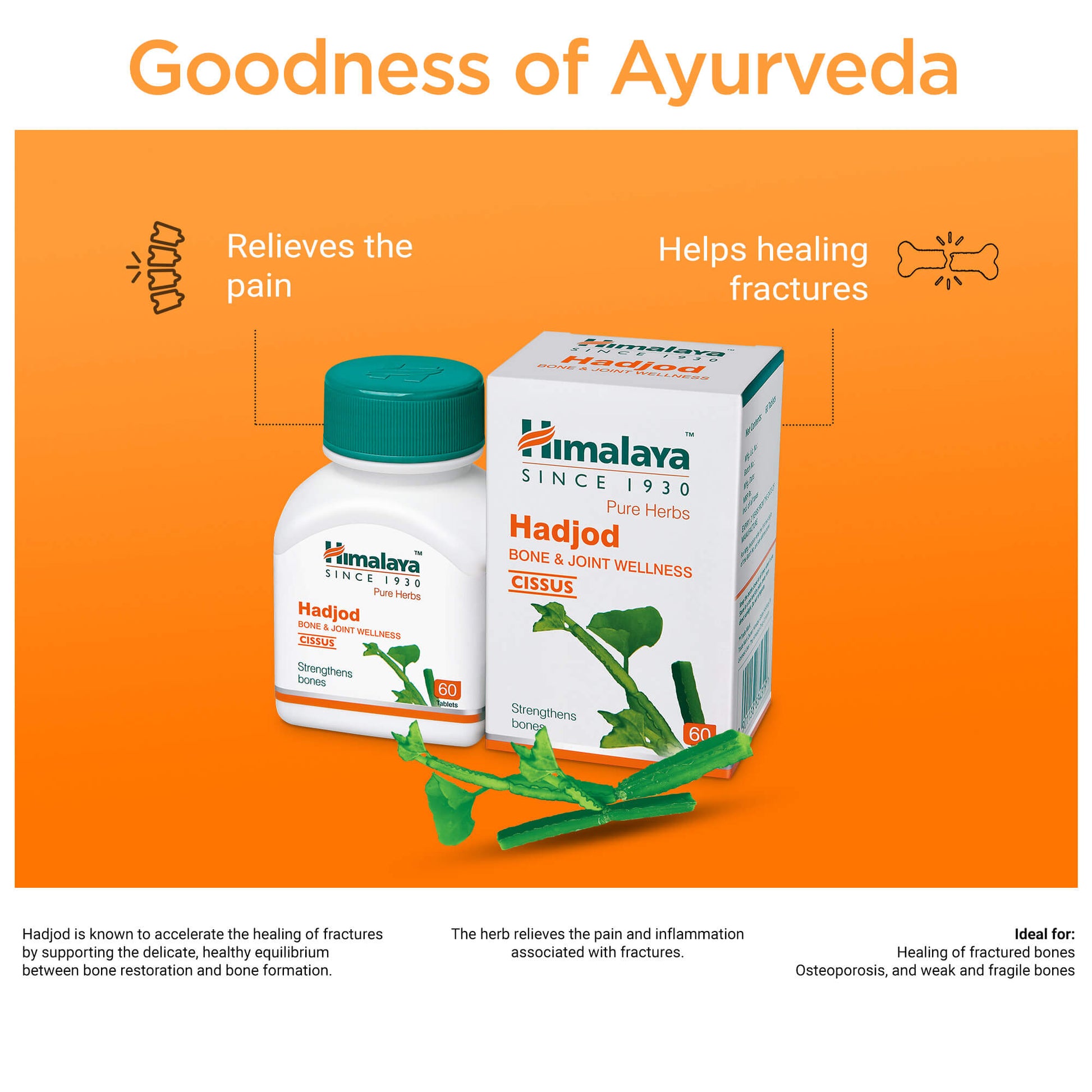 Hadjod 60 Tablets