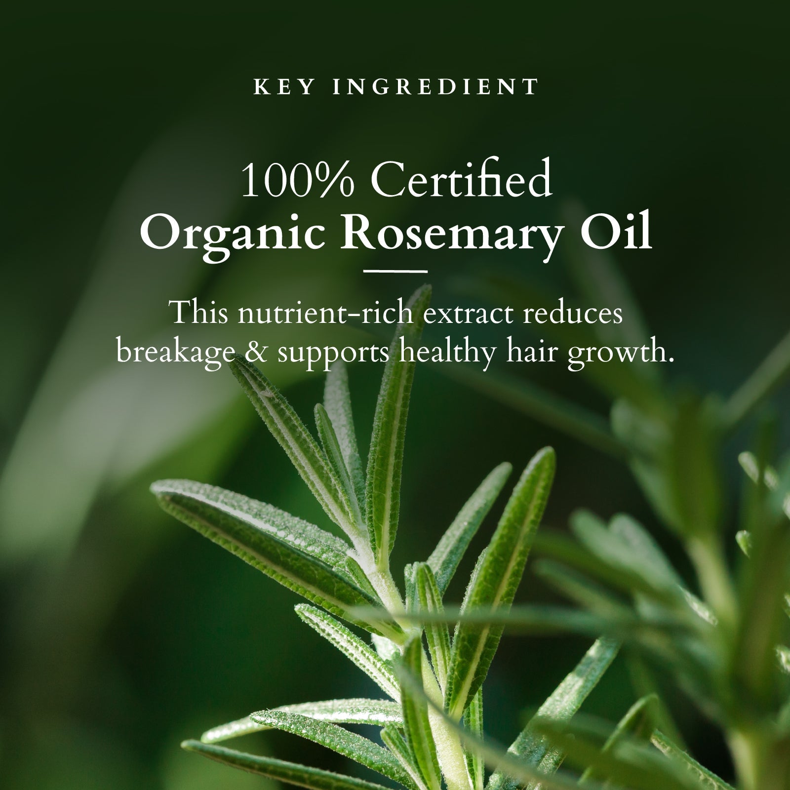 Organics+ Hair Fall Control Revitalizer 