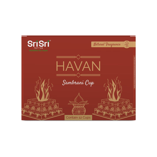 Havan Sambrani Cup For Pooja | 12 Cups 120g