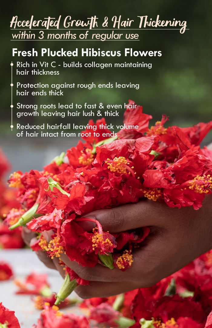 Fresh Hibiscus Hair Growth NutriMask 40g × 3