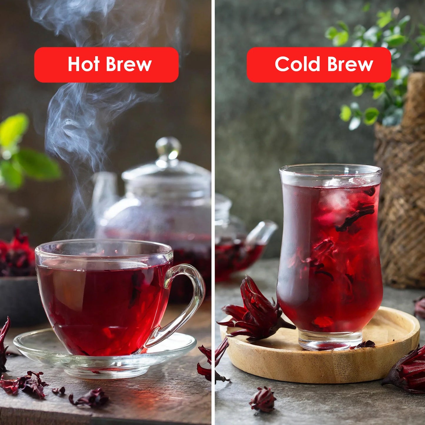 Hibiscus Herbal Tea Sampler Packs - 6 Flavors