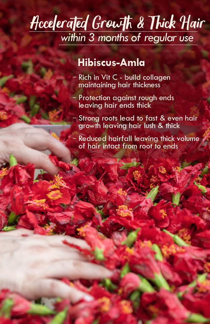 Hibiscus Amla DASABUTI Summer Hair Oil 100ml
