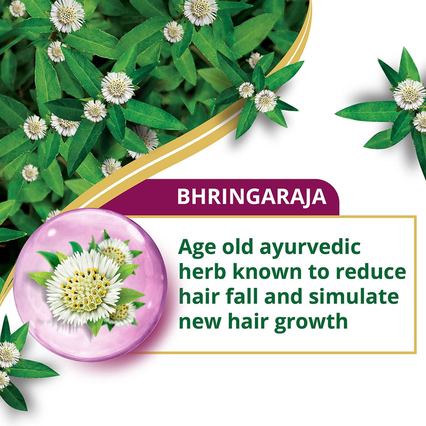 Anti-Hair Fall Bhringaraja Conditioner 80ml
