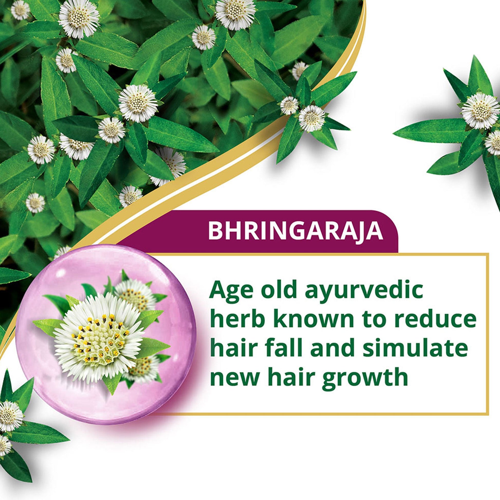 Anti-Hair Fall Bhringaraja Conditioner 80ml